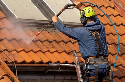 Démoussage et hydrofuge de toiture à Prin-Deyrançon